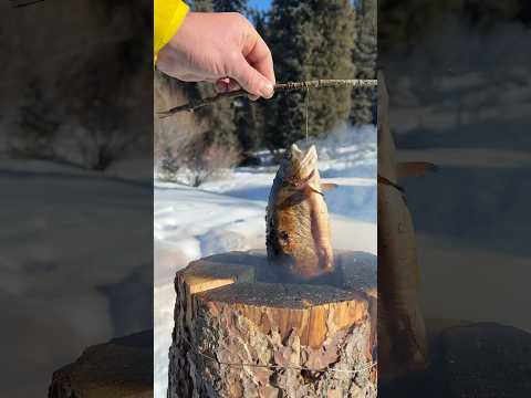 winter fishing😍 #survival #outdoorcooking #outdoors #fishing #fish #winter #food #nature