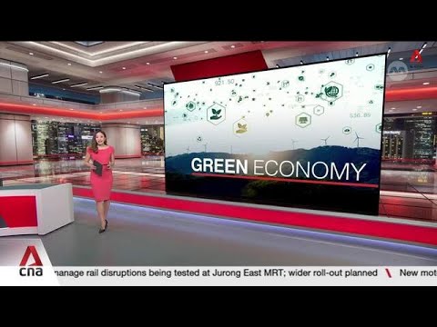 Nature-based carbon credits: Singapore to secure first carbon credits from 4 overseas projects