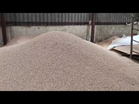 Chickpeas | Kabuli Chickpeas | White Chickpeas | Garbanzo Beans | Desi Chickpeas | Garbanzo | Pois Chiche | Nohut | حمص | Chickpea Exporter from India – Rajat Global