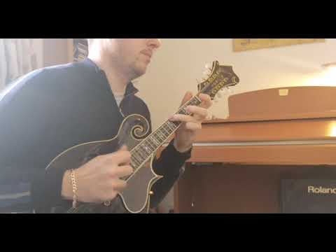 Jethro's Tune 1970s Washburn M-5S BR Mandolin