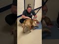 Dog reunites with owner after nearly 2 years apart - Video