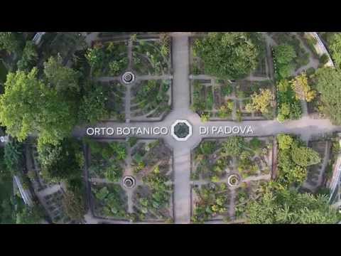 Il volo del drone sull'Orto botanico di 