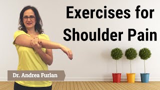 Exercises for shoulder pain, Impingement, Bursitis, Rotator Cuff Disease by Dr Furlan MD PhD