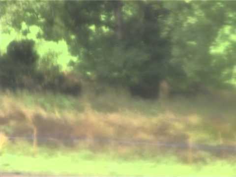 DANEBURY  UNEDITED 2013