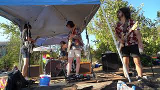 Forty Feet Tall at Anarchy Beach  7, 10, 2021