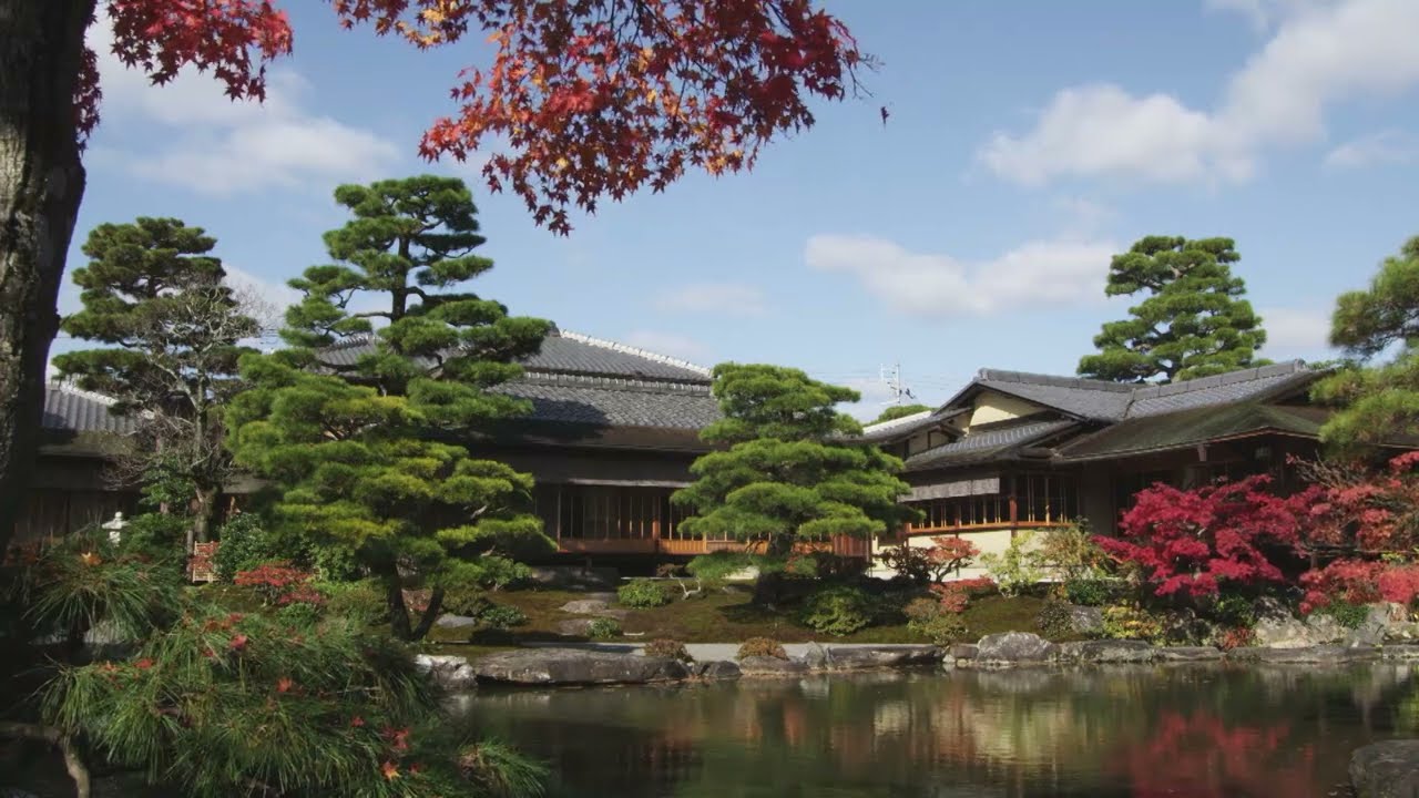 映像と音で感じる流響院