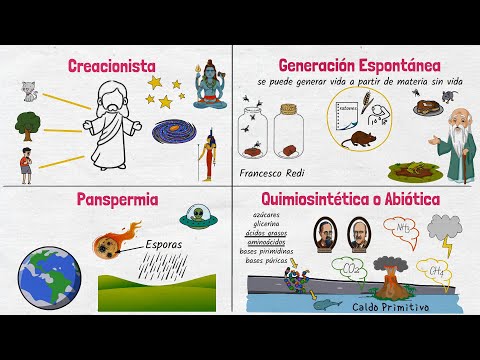 Theories of the Origin of Life