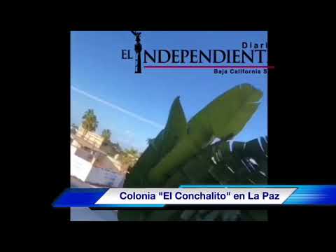 Balacera en la colonia El Conchalito de la Capital del Estado