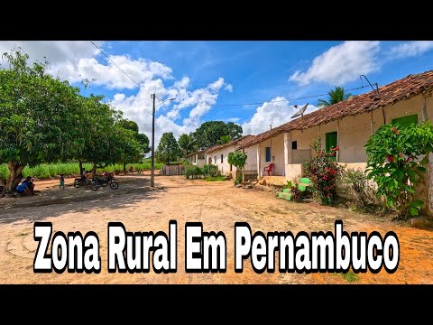 Zona Rural Em Pernambuco Tamandaré e Rio Formoso Engenhos Primavera Paraíso Cipó Mato Grosso