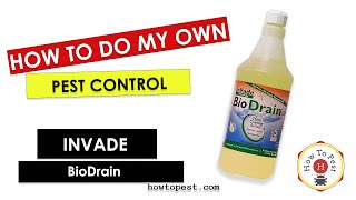 How To Clean My Drains - BioDrain - Rockwell Labs