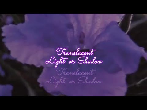 Quick Tip 415 - Translucent Light or Shadow