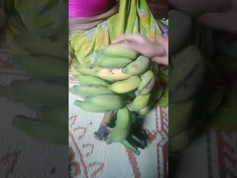 Both yellow colour bananas 🍌 are King 👑 and queen 👑 all other green bananas are People #likitha