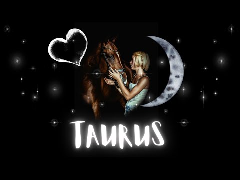 TAURUS ❗️BE CAREFUL ABOUT THE DEVIL RETURNING❗️THEY WANT TO REKINDLE 💕 FEBRUARY 2023 LOVE READING