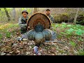 PUBLIC LAND TURKEY HUNTING In A Missouri Creek Bottom