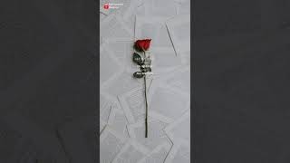 Download lagu Say yes LOCO ft. Punch full lyrics sub English Indonesia OST moon lovers part2 mp3 Download lagu Say yes LOCO ft. Punch full lyrics sub English Indonesia OST moon lovers part2 mp3