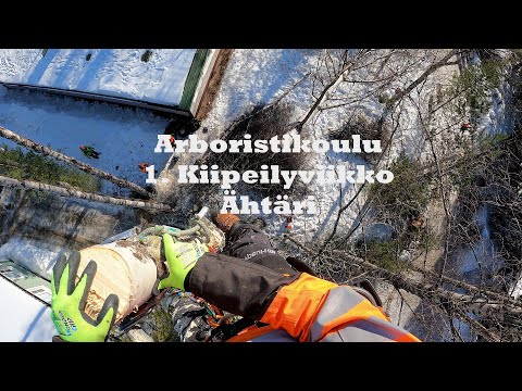 Arboristikoulu - 1. Kiipeilyviikko