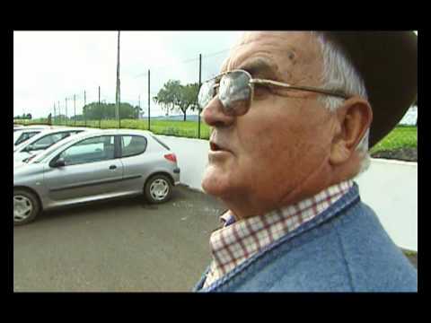 Promo ReporTv - Estrela do Alentejo | SPORT TV