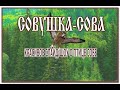 Совушка-сова 