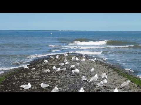 Ferienunterkuenfte an der Nordsee