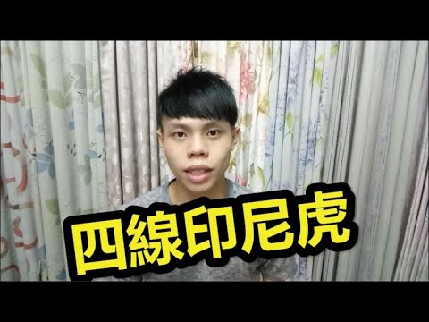 虎魚飼養