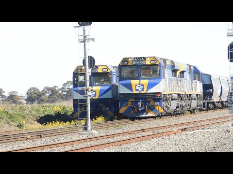 1103-CM3312 - Gheringhap