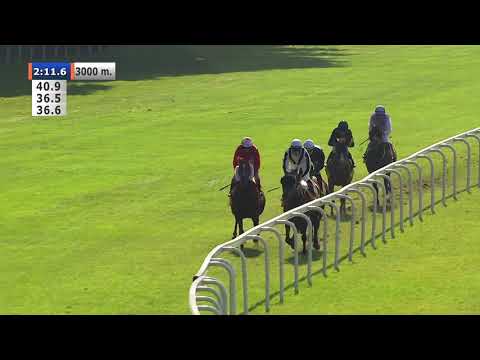 03.10.2020 (D37; G2; Tor: 3,7; 18°C) Nagroda Wielkiego Szlema - (kat.B)