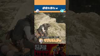 【 Red Dead Redemption 2 】もっと動物を大切にしなさい #shorts