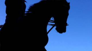 Horse Riding-the HIATUS 弾き語り　cover