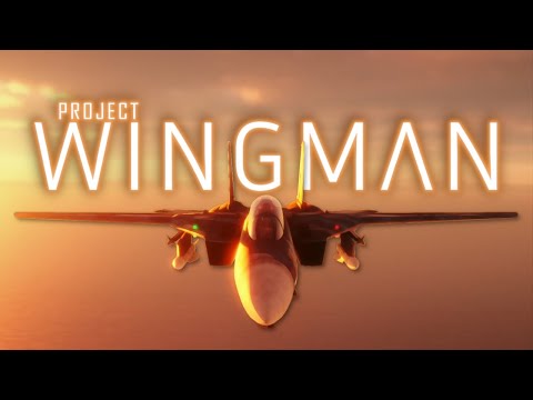 When One Man's Dream Becomes a Reality | Project Wingman Review