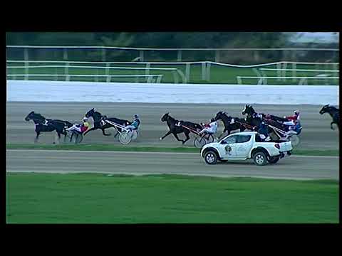 Trotto 01/12/2020 - 3ª corsa