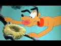 Plutos Fledgling 1948 Full HD