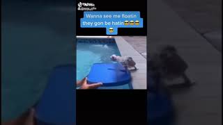 They see me floating they hatin