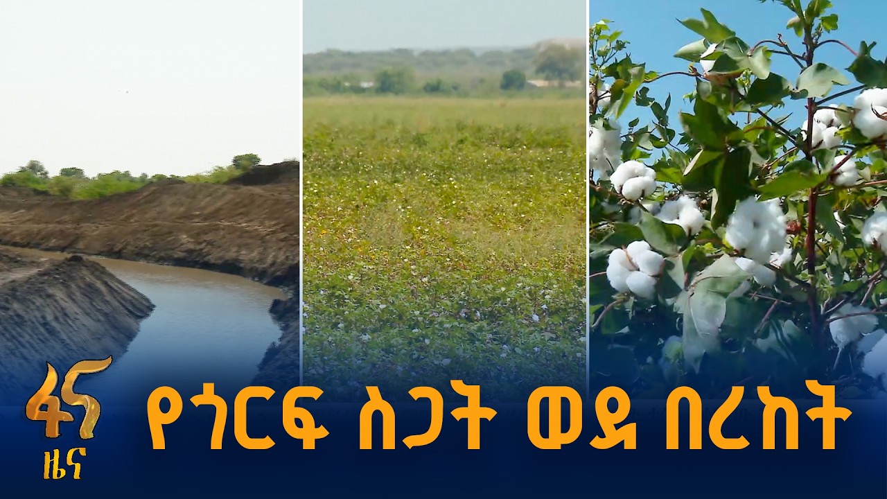 አደጋን ወደ ልማት የቀየረው የጎርፍ መከላከያ