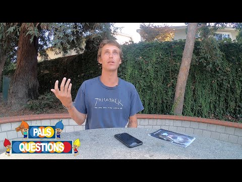 “Unofficial" Pals Questions - Julian Davidson