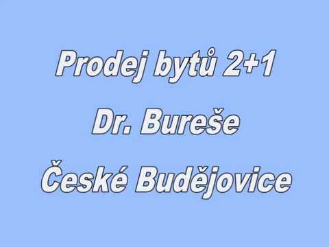 Prodej bytu 2+1, Dr. Bureše, České Budějovice, 46 m2