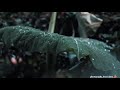 Barish WhatsApp Status Video Rainy Day Weather Monsoon Status Video Nature Status Barish Status