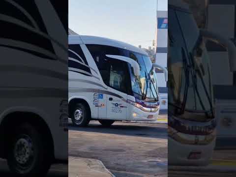 CHAPECÓ x CONCÓRDIA: A TRADIÇÃO DA REUNIDAS NO OESTE CATARINENSE! 🚍🛣️