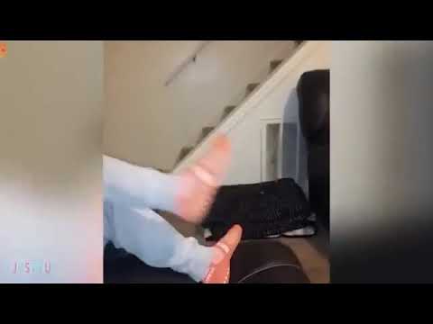 los gatitos grasios😁😂