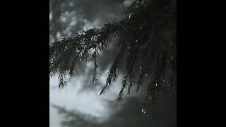 Download lagu STATUS STORY WA MENGHITUNG HARI mp3