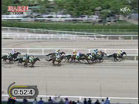 2010 JRA Trophy - Gippeumnuri