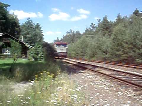 Bardota vjíždí do Srní u Č.Lípy