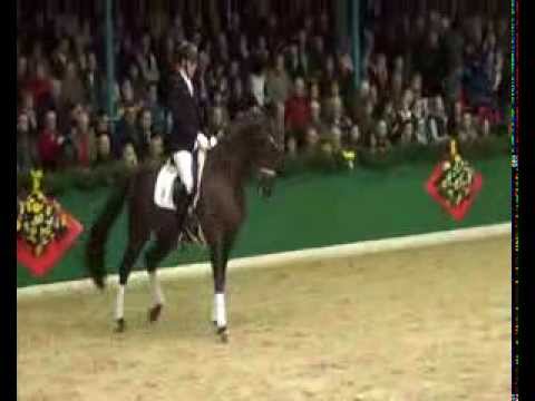 FIDERDANCE v. Fidertanz x Don Schufro - Sandro Hit