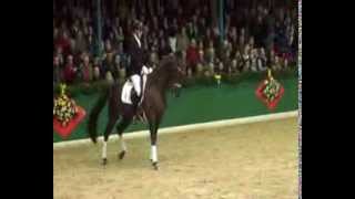 Video von Fiderdance