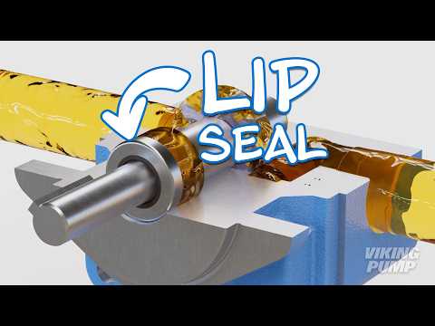 Lip Seal