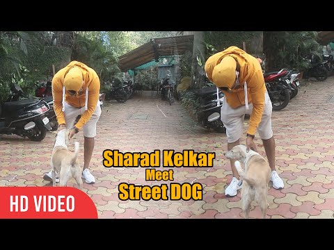 When Sharad Kelkar meet Street DOG