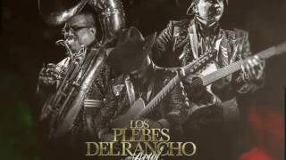 Si Supieras | Los Plebes Del Rancho De Ariel Camacho