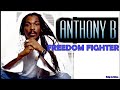 Anthony B - Freedom Fighter Lyrics Reggae