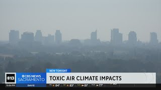 New study reveals toxic air's impacts on fighting climate change