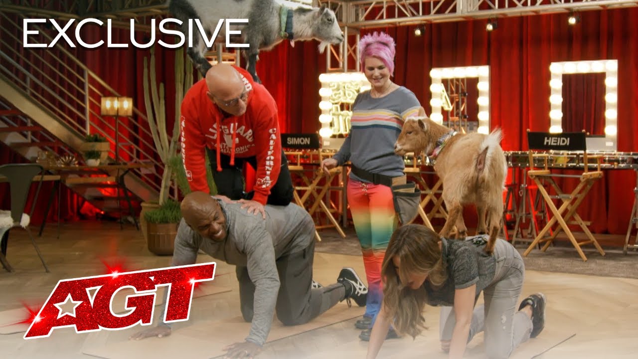 Online Exclusive: Goat Yoga Backstage at AGT?! - America's Got Talent 2020 thumbnail