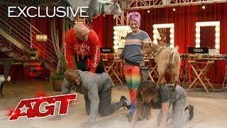 Online Exclusive: Goat Yoga Backstage at AGT?! - America's Got Talent 2020 thumbnail